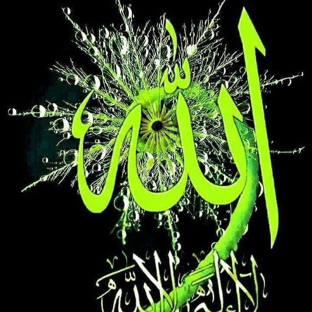 آوای کتاب