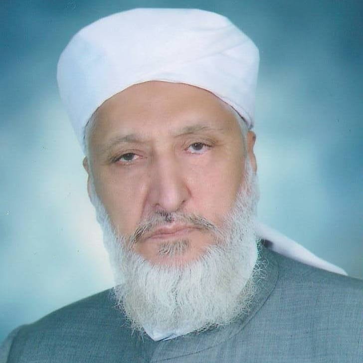 مولانا سید ابراهیم فاضلی