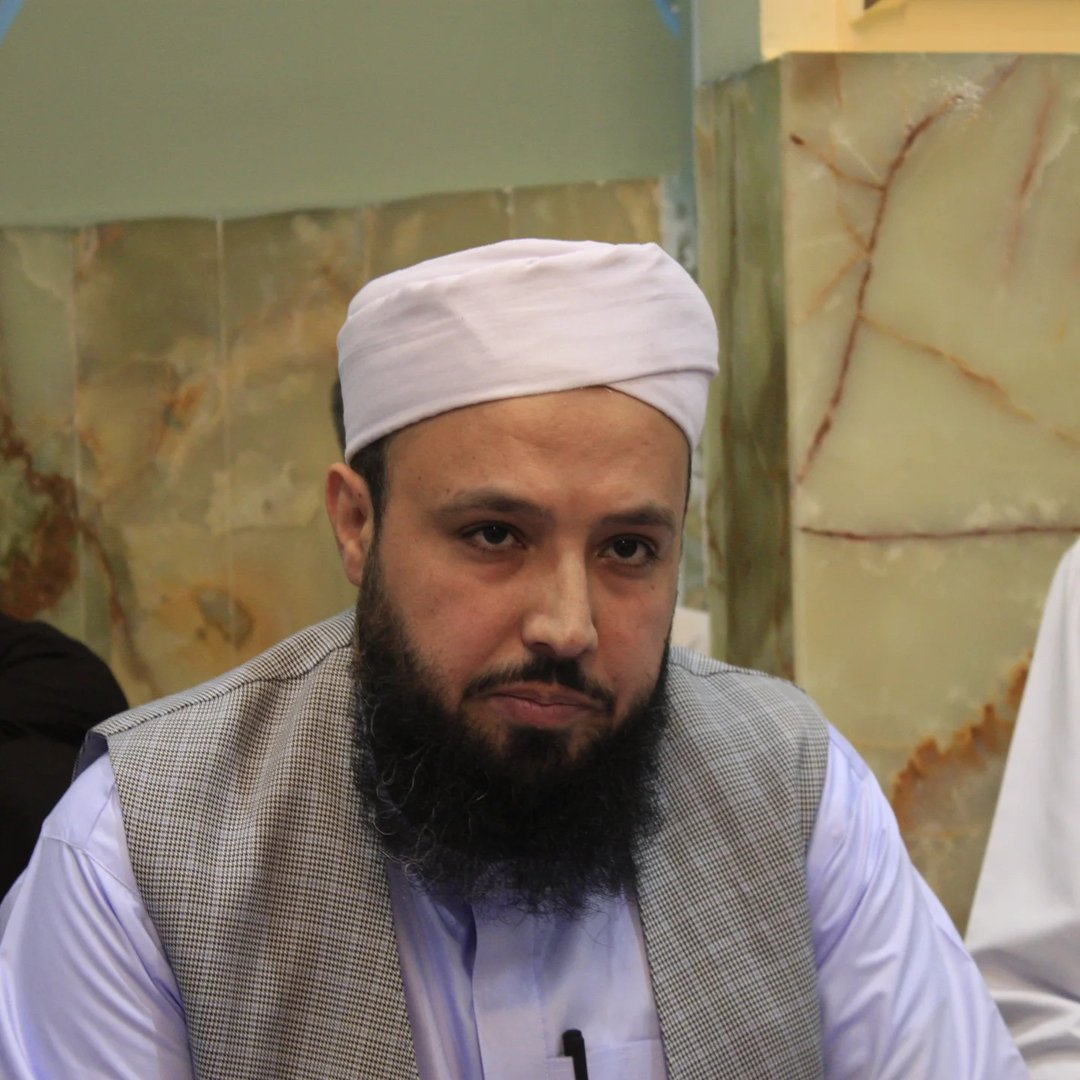 مولانا سید حسان فاضلی موحد