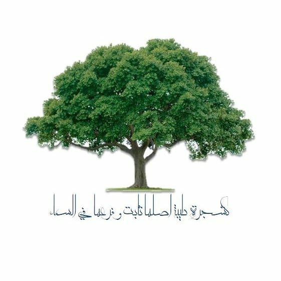 کلمة طيبة